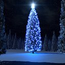 ���� �������, �����, 29 ��� - ��������� 31 ������� 2016