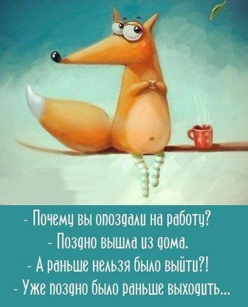   - 10  2017  11:20