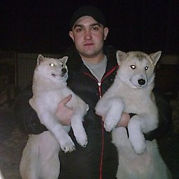 ���� ������, ������, 37 ��� - ��������� 10 ������ 2017