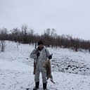  Valentin, , 55  -  24  2017    