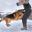 ���� Miss, ������, 49 ��� - ��������� 13 ������� 2017 � ������ ���� Bodyguard,��� ������ �������� �������������