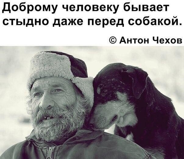      - 11  2017  20:13