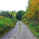 ���� �������, ��������, 47 ��� - ��������� 2 ������� 2016 � ������ ���� ����������