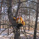 ���� �����, �����, 55 ��� - ��������� 31 ������� 2016 � ������ ���� ����������