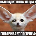 ���� ��������, ���������, 60 ��� - ��������� 21 �������� 2016 � ������ �������