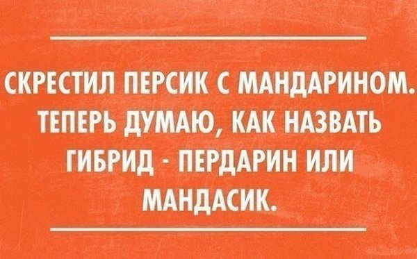 - 24  2016  16:39
