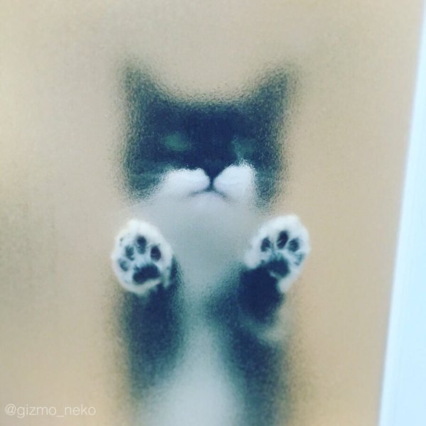  . -.