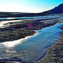  ,  -  1  2017        ۻ