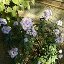  , , 73  -  25  2016     2016