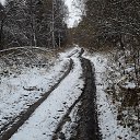 ���� ���������, ������, 43 ���� - ��������� 29 ������� 2016 � ������ ���� ����������