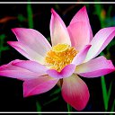  ,  -  31  2017      .