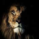 ���� ������, ������, 45 ��� - ��������� 29 �������� 2016