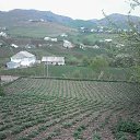 ���� Fazil, ���� - ��������� 29 ����� 2017 � ������ ���� ����������