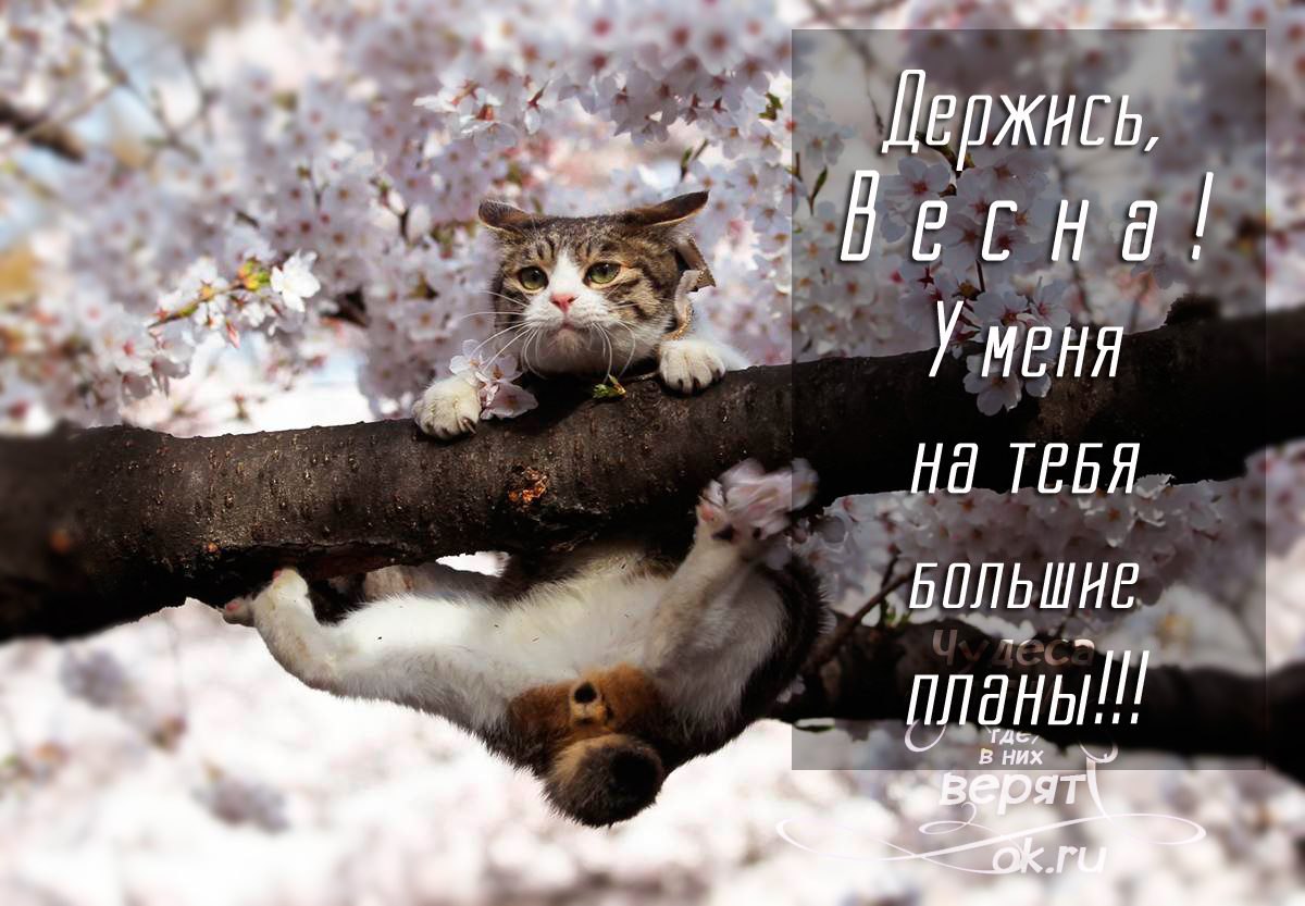  ,  ...    !