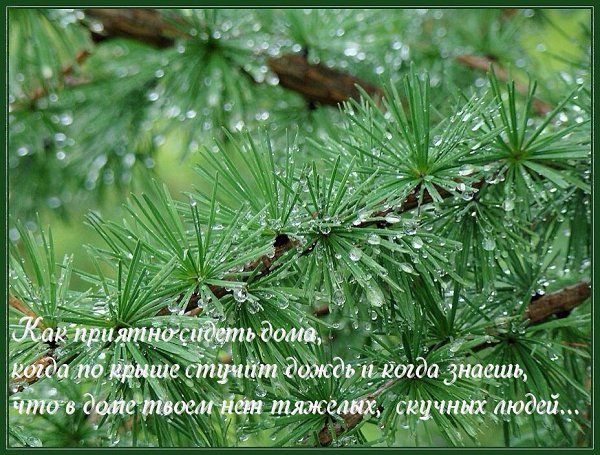   - 3  2016  10:22