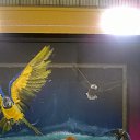 ���� �������, �����-���������, 60 ��� - ��������� 15 ������� 2017 � ������ ���� ����������