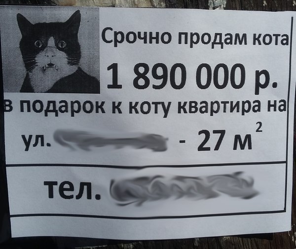     - 10  2017  00:18