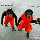 ���� ���������, �����������, 55 ��� - ��������� 15 �������� 2016 � ������ �����