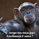 ���� �������, ���������, 63 ���� - ��������� 9 ������� 2017 � ������ ������ ��������