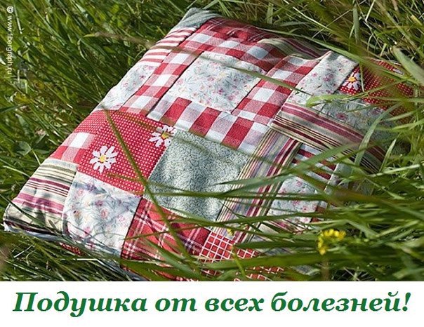 ПОДУШКА ОТ ВСЕХ БОЛЕЗНЕЙ.Бабушка моя была большая поклонница садоводства. Бывало еще с весны ...