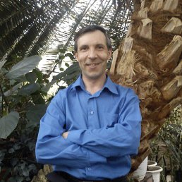 ������, ���, 50 ���