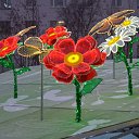 ���� �����, ���� - ��������� 30 ������� 2016 � ������ ���� ������� �����