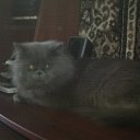 Фото Дмитрий, Белгород, 39 лет - добавлено 19 октября 2016