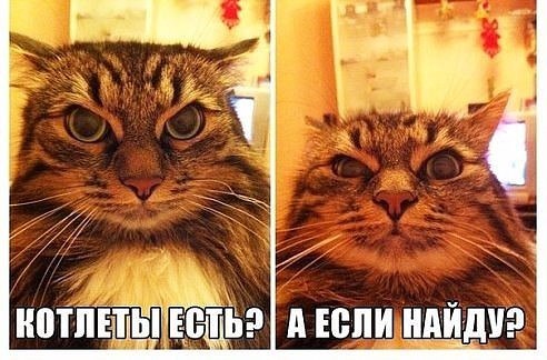   - 12  2017  20:56
