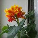 ���� ������, �������� - ��������� 3 ������ 2017 � ������ ���������� ������