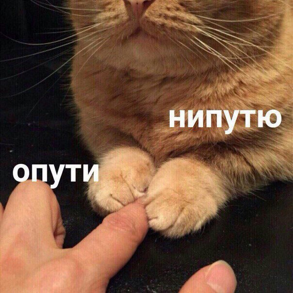     - 13  2017  17:07