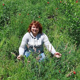 �������, ������-��-����, 51 ���