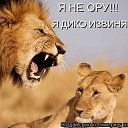 ���� ���, ������, 49 ��� - ��������� 18 ������� 2016 � ������ ������ ��������