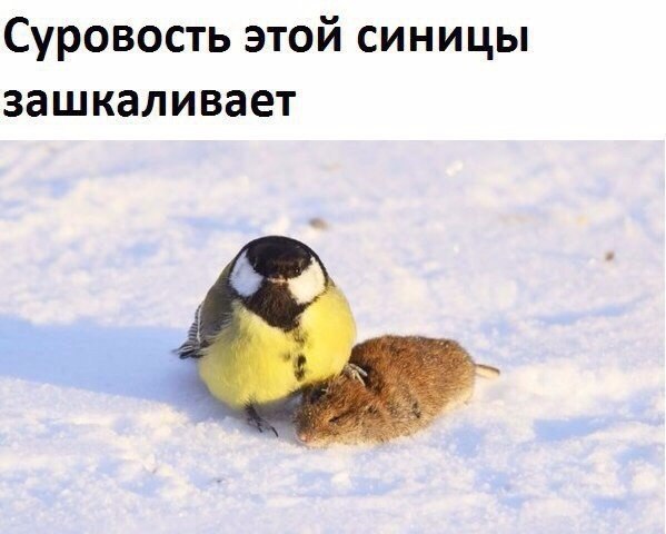     - 28  2017  12:37