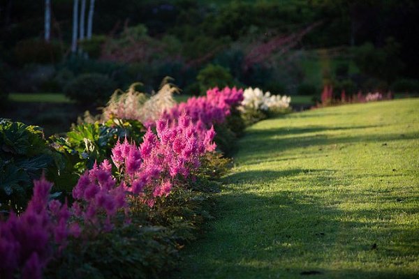 ))).�������������� ��� Maple Glen � ����� �������� �������������� ��� Maple Glen ���������� � ����� ... - 11