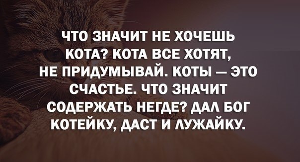 Art & Fun - 27  2016  03:04