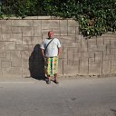   (), , 49  -  25  2016    2016