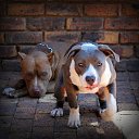 ���� ������, ������, 59 ��� - ��������� 28 ������� 2017 � ������ ���� ����������