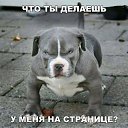 ���� Leo, ������ - ��������� 10 ������� 2016 � ������ ������ ��������