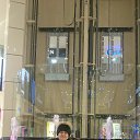 ���� ����, �����, 50 ��� - ��������� 1 ������� 2016 � ������ ���� ����������