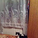 ���� ������� ������� ���������, ������ ��������, 41 ��� - ��������� 16 ������ 2016 � ������ ������ ��������
