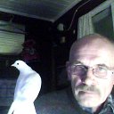 ���� ������, ������, 69 ��� - ��������� 2 ������ 2017 � ������ ���� ����������