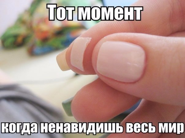   - 2  2016  12:53
