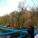 ���� ����, �����������, 75 ��� - ��������� 31 ������� 2016 � ������ ������ ��������