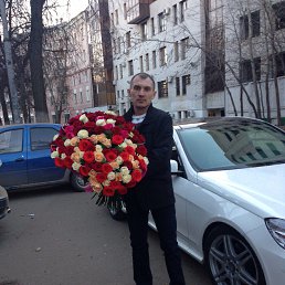 ���� �����, ������, 43 ���� - ��������� 14 ������ 2016