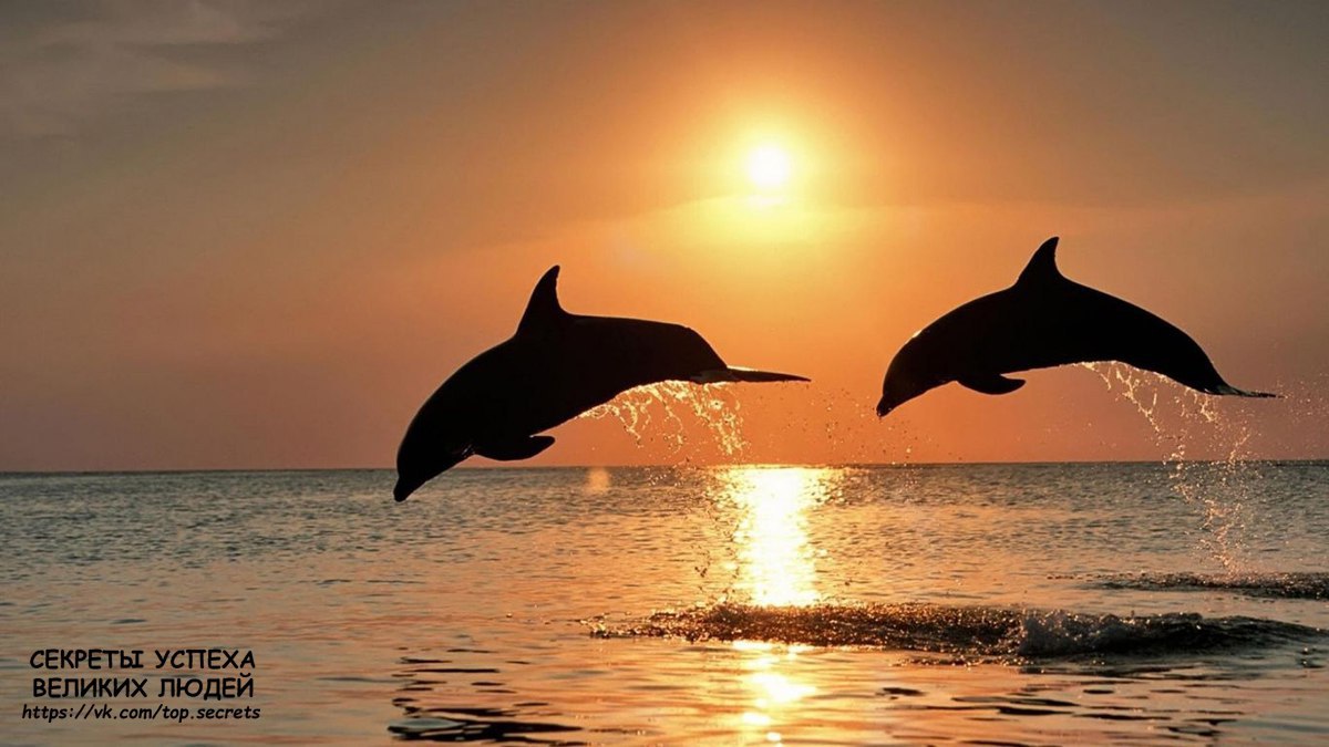  ,   ,       .        ...