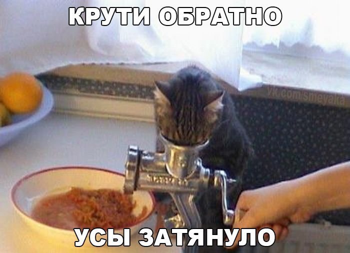    :D - 4  2016  03:05