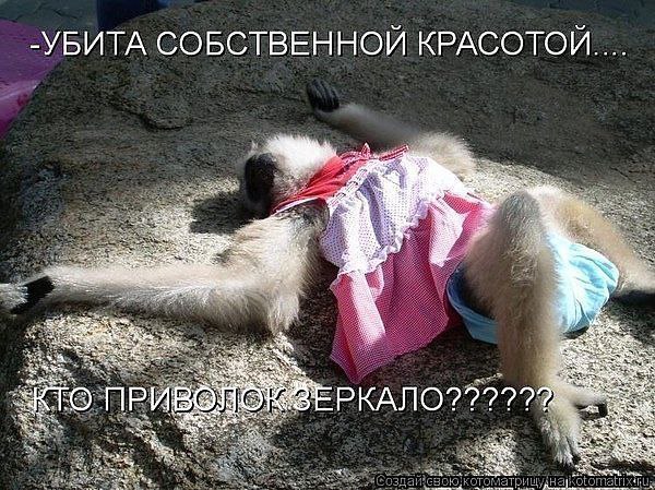 ***Victoria Viktorovna*** - 1  2017  15:45
