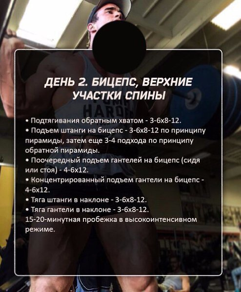 Пятидневный сплит на массу.Пятидневная программа, как и четырех дневная, не имеет определенной ...