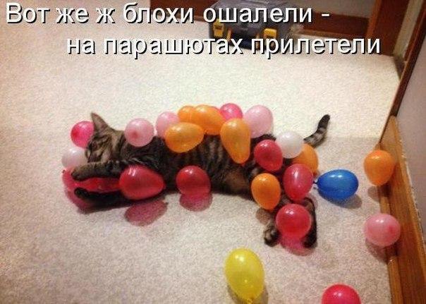    - 10  2016  11:12