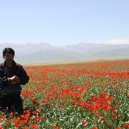 �����, �����, 53 ����